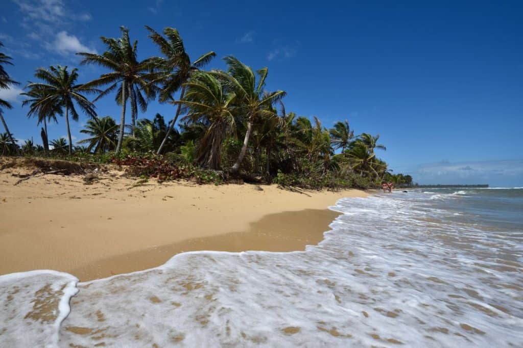 mejor temporada para viajar a Punta Cana