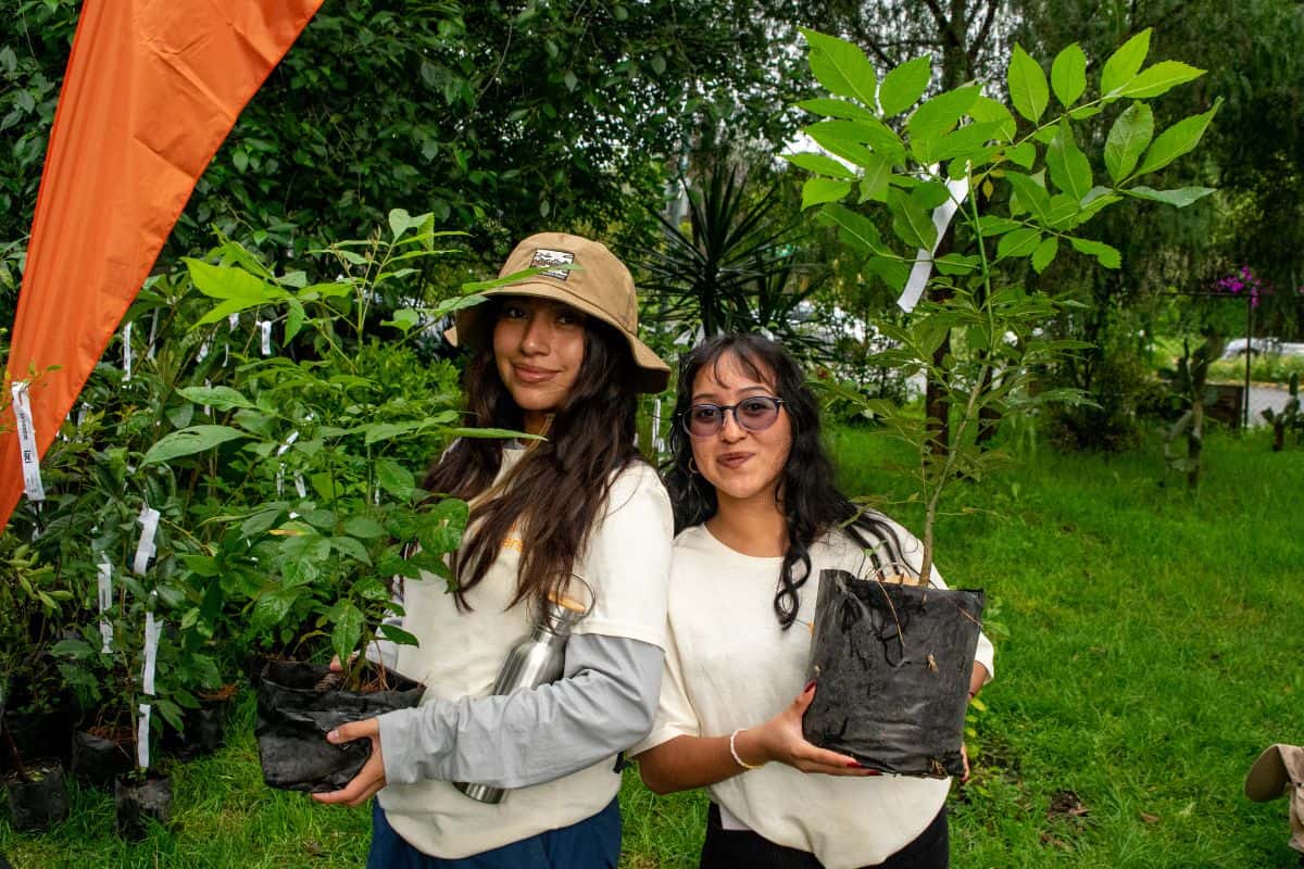 IATI Travel Shakers reforestación