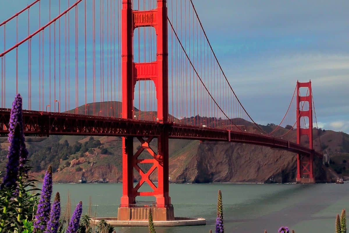 Cuándo abrirán la frontera de Estados Unidos para turistas