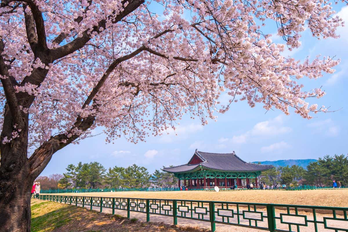 Requisitos de colombianos para viajar a Korea