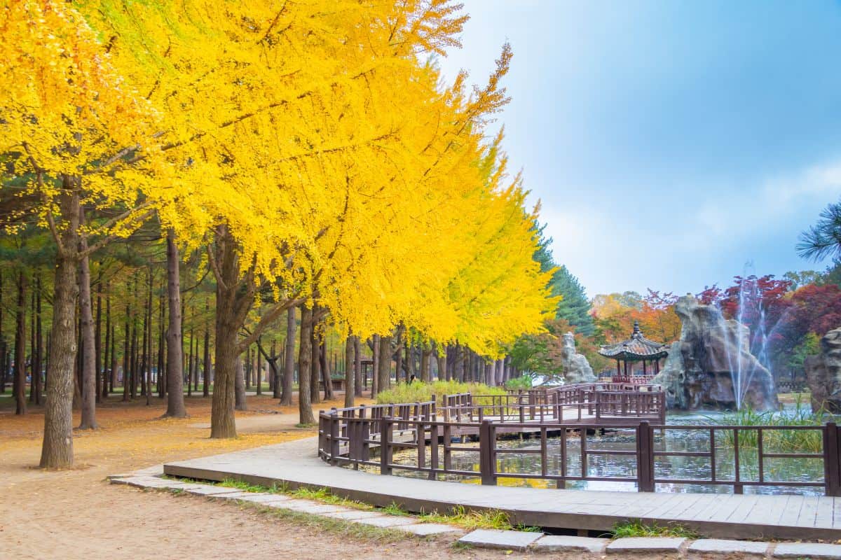 Requisitos de colombianos para viajar a Korea